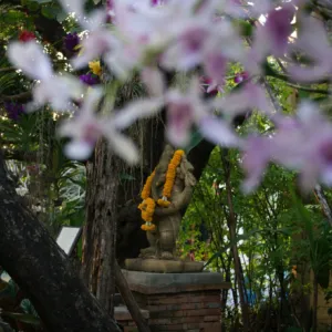 Thaïlande 7667